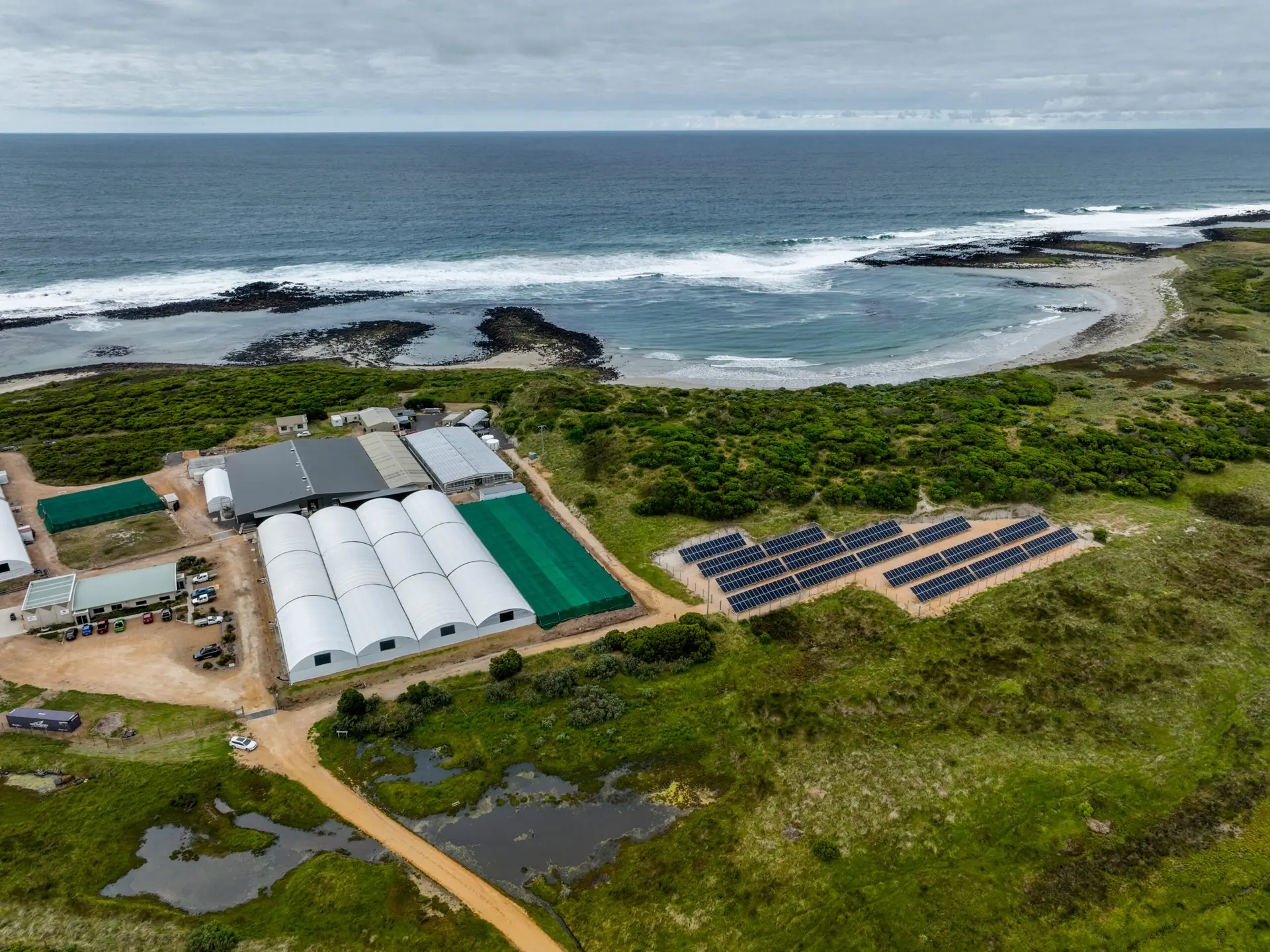 22-Southern-Ocean-Mariculture-Drone-Shoot-1st-Dec-DJI_0245-HDR-scaled.jpg
